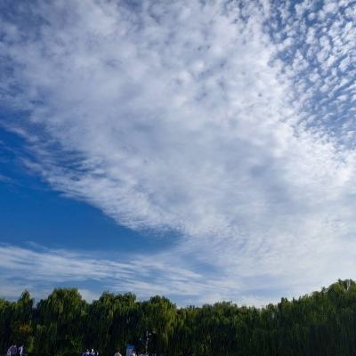 绳索配对游戏下载